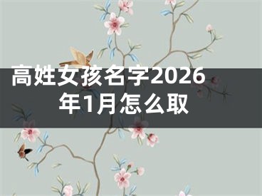 高姓女孩名字2026年1月怎么取
