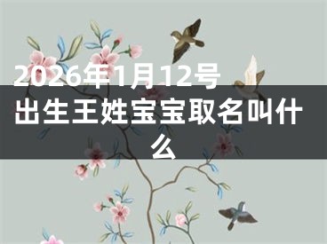 2026年1月12号出生王姓宝宝取名叫什么