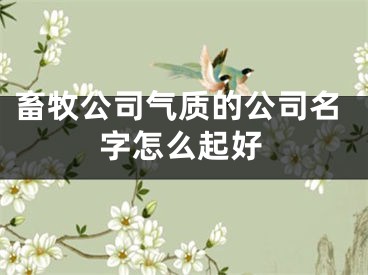 畜牧公司气质的公司名字怎么起好
