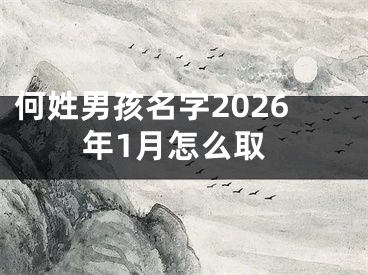 何姓男孩名字2026年1月怎么取