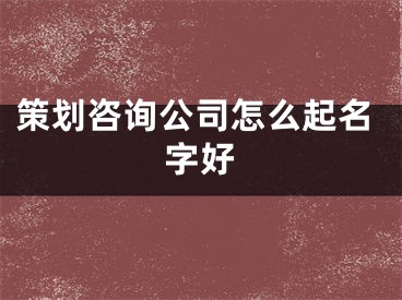策划咨询公司怎么起名字好