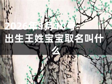2026年1月10号出生王姓宝宝取名叫什么