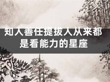 知人善任提拔人从来都是看能力的星座