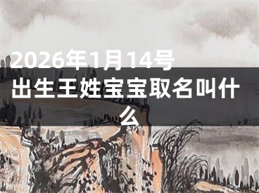 2026年1月14号出生王姓宝宝取名叫什么
