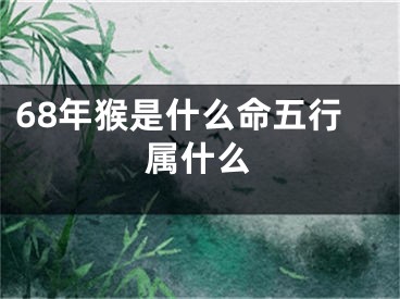 68年猴是什么命五行属什么