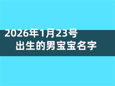 2026年1月23号出生的男宝宝名字