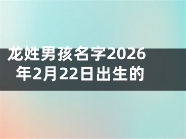 龙姓男孩名字2026年2月22日出生的