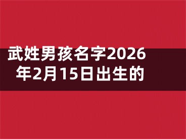 武姓男孩名字2026年2月15日出生的