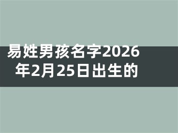 易姓男孩名字2026年2月25日出生的