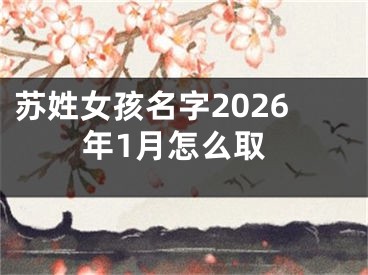 苏姓女孩名字2026年1月怎么取