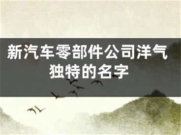 新汽车零部件公司洋气独特的名字