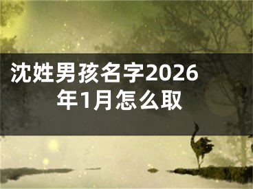 沈姓男孩名字2026年1月怎么取