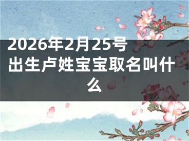 2026年2月25号出生卢姓宝宝取名叫什么