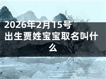 2026年2月15号出生贾姓宝宝取名叫什么
