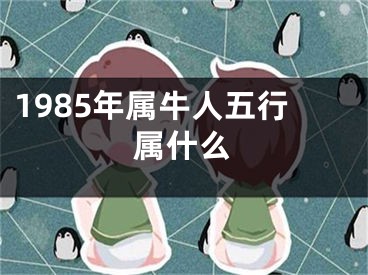 1985年属牛人五行属什么