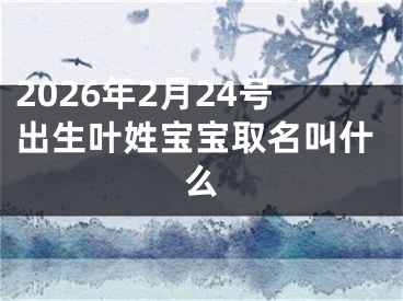 2026年2月24号出生叶姓宝宝取名叫什么