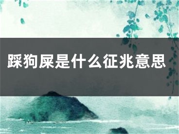 踩狗屎是什么征兆意思