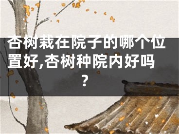 杏树栽在院子的哪个位置好,杏树种院内好吗?