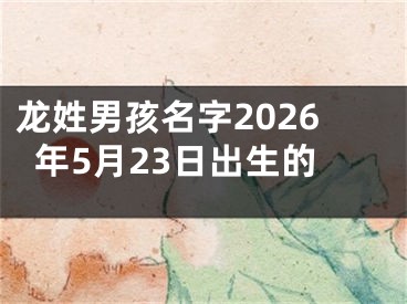 龙姓男孩名字2026年5月23日出生的