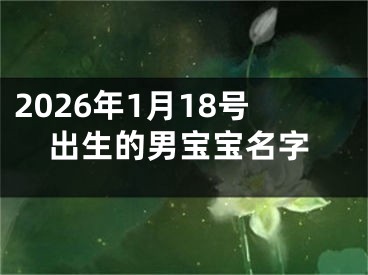 2026年1月18号出生的男宝宝名字