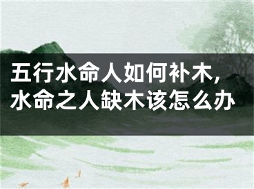 五行水命人如何补木,水命之人缺木该怎么办