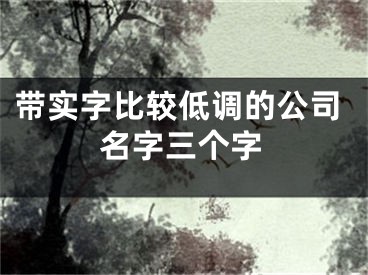 带实字比较低调的公司名字三个字