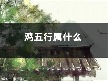 鸡五行属什么