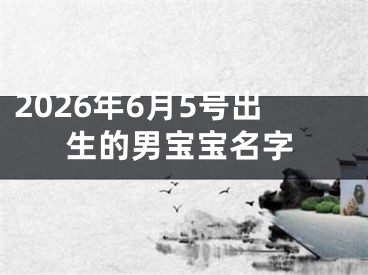 2026年6月5号出生的男宝宝名字