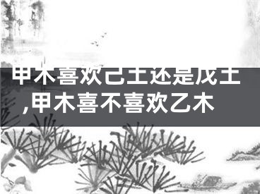 甲木喜欢己土还是戊土,甲木喜不喜欢乙木