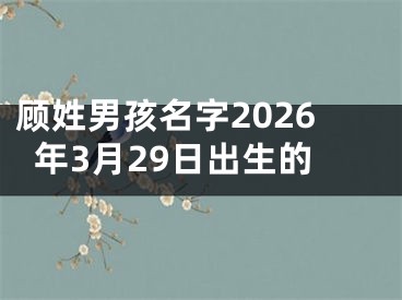 顾姓男孩名字2026年3月29日出生的
