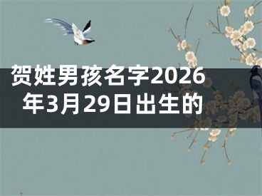 贺姓男孩名字2026年3月29日出生的