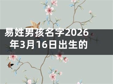 易姓男孩名字2026年3月16日出生的