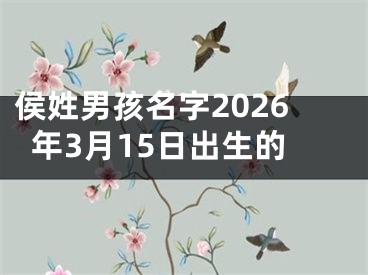 侯姓男孩名字2026年3月15日出生的