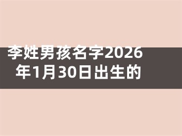 李姓男孩名字2026年1月30日出生的