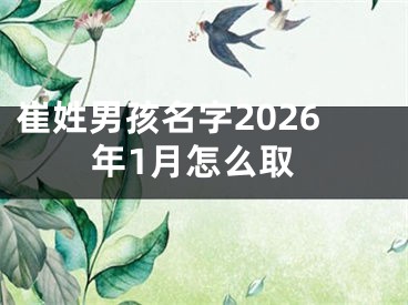 崔姓男孩名字2026年1月怎么取