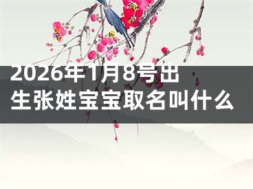 2026年1月8号出生张姓宝宝取名叫什么