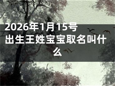 2026年1月15号出生王姓宝宝取名叫什么