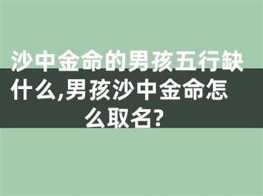 沙中金命的男孩五行缺什么,男孩沙中金命怎么取名?