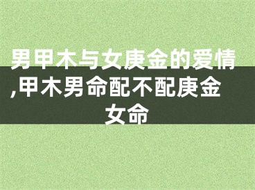男甲木与女庚金的爱情,甲木男命配不配庚金女命
