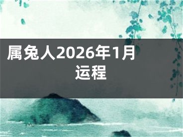 属兔人2026年1月运程