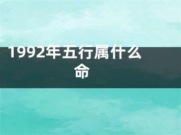 1992年五行属什么命