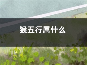 猴五行属什么