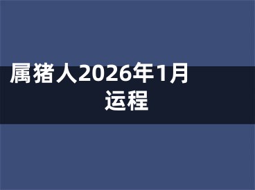 属猪人2026年1月运程