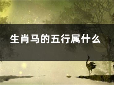 生肖马的五行属什么