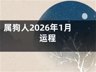 属狗人2026年1月运程