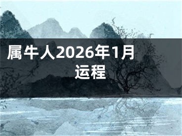 属牛人2026年1月运程