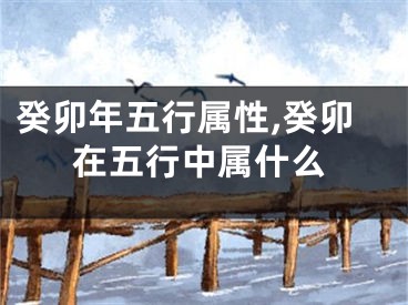 癸卯年五行属性,癸卯在五行中属什么