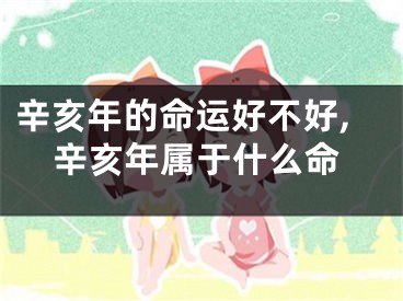 辛亥年的命运好不好,辛亥年属于什么命