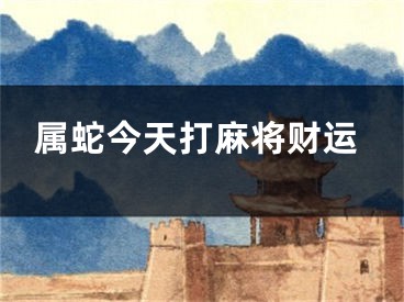 属蛇今天打麻将财运