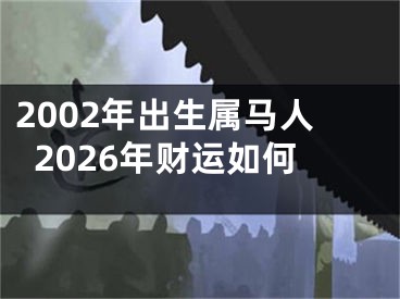 2002年出生属马人2026年财运如何